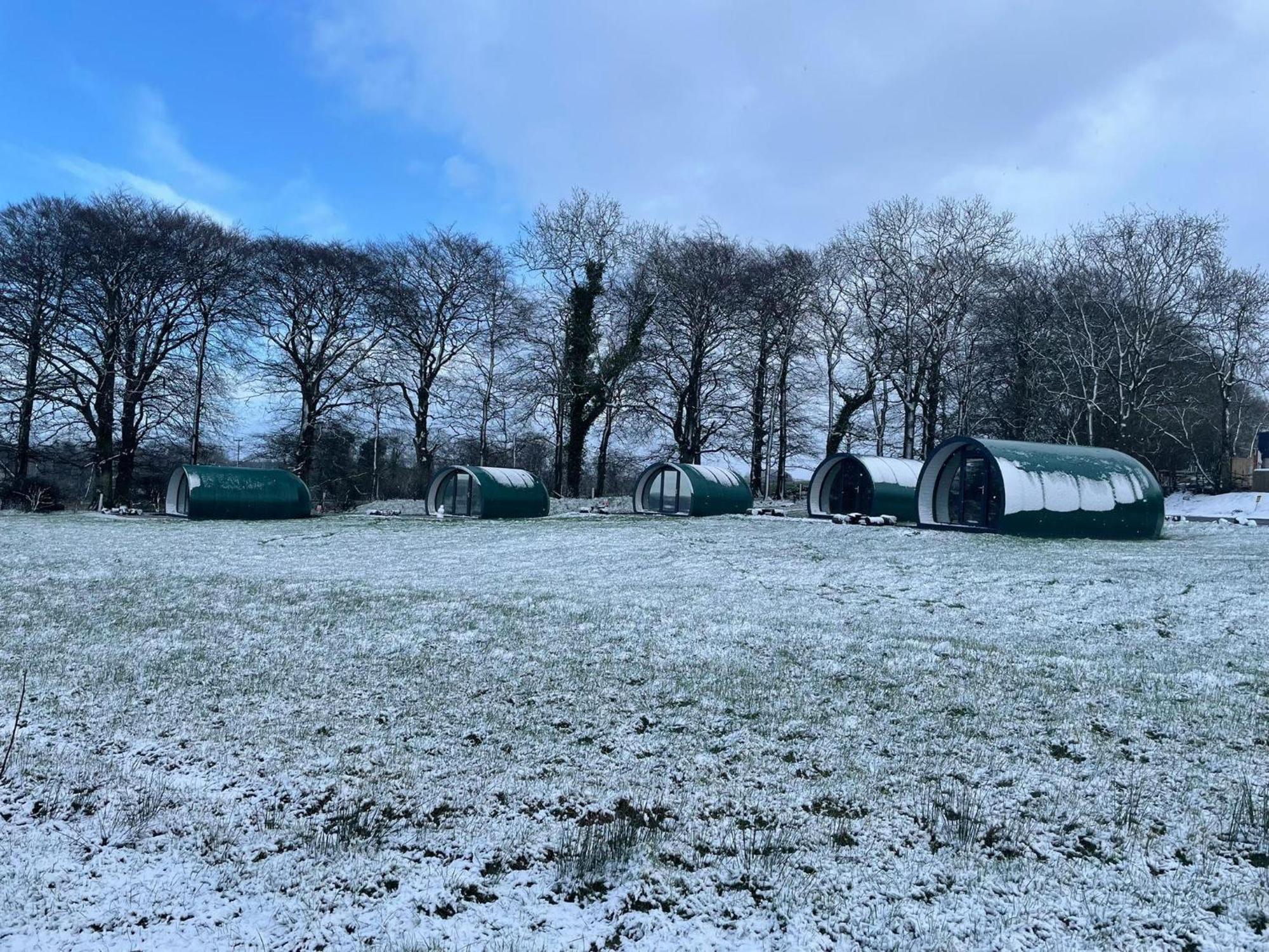 Thornfield Farm Luxury Glamping Pods, The Dark Hedges, Ballycastle Hotel Stranocum Exterior photo