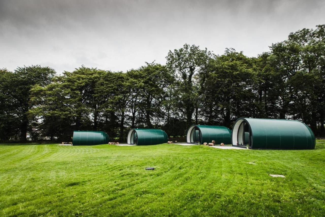 Thornfield Farm Luxury Glamping Pods, The Dark Hedges, Ballycastle Hotel Stranocum Exterior photo