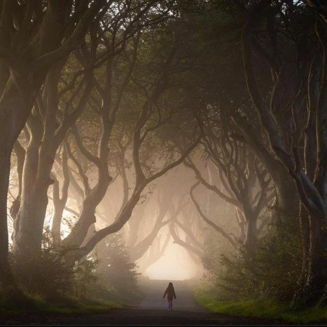 Thornfield Farm Luxury Glamping Pods, The Dark Hedges, Ballycastle Hotel Stranocum Exterior photo